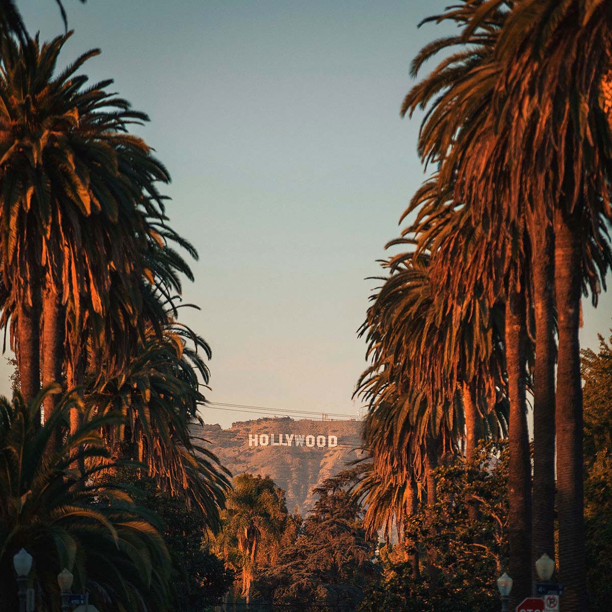 VegNews.LosAngeles.Pexels