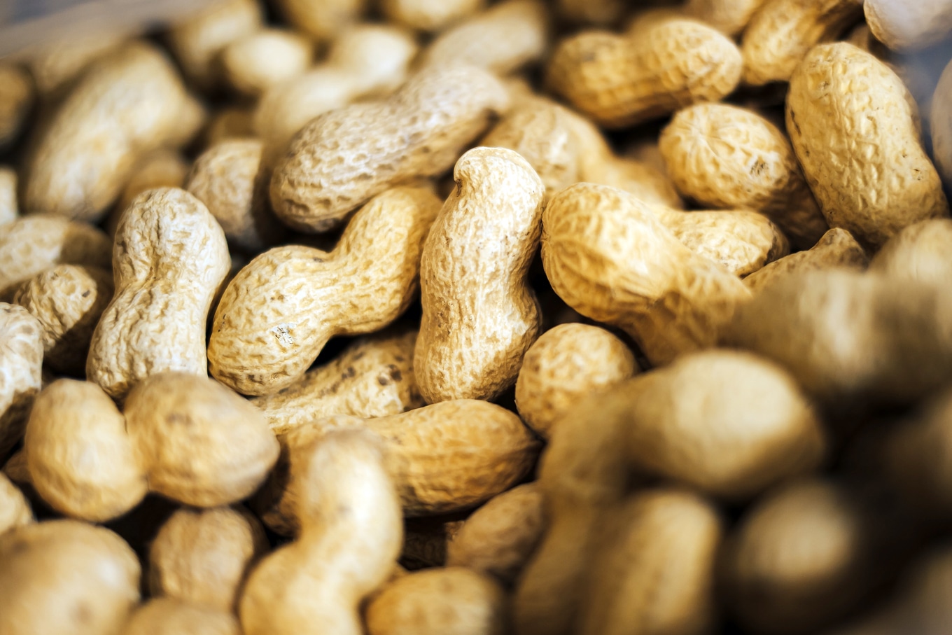 New Study Finds a Surprising Health Benefit of Eating Peanuts | VegNews