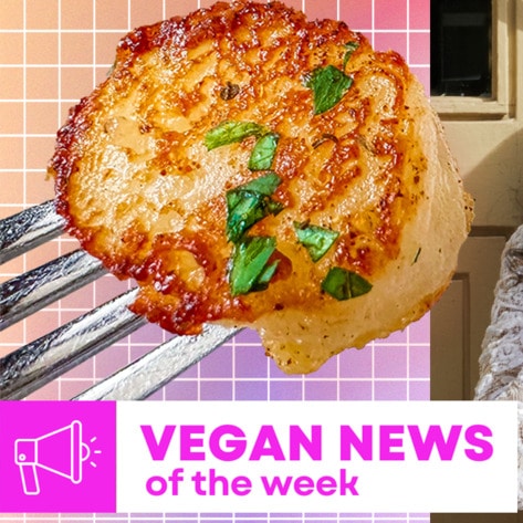Ubah Hassan's Bowls, Fish-Free Scallops, and More Vegan Food News of the Week&nbsp;