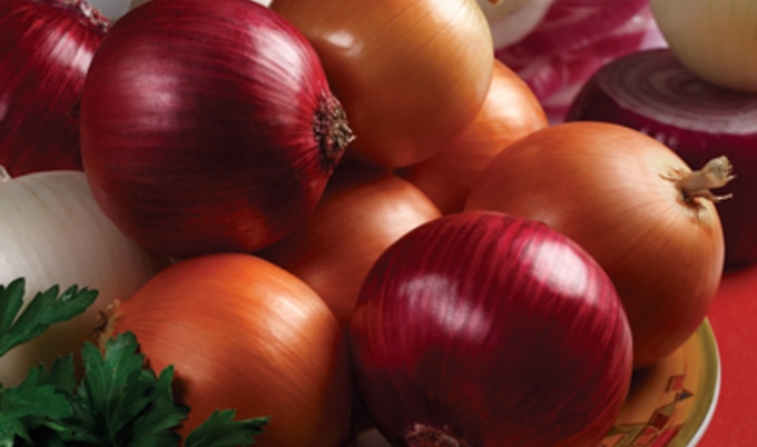 onion