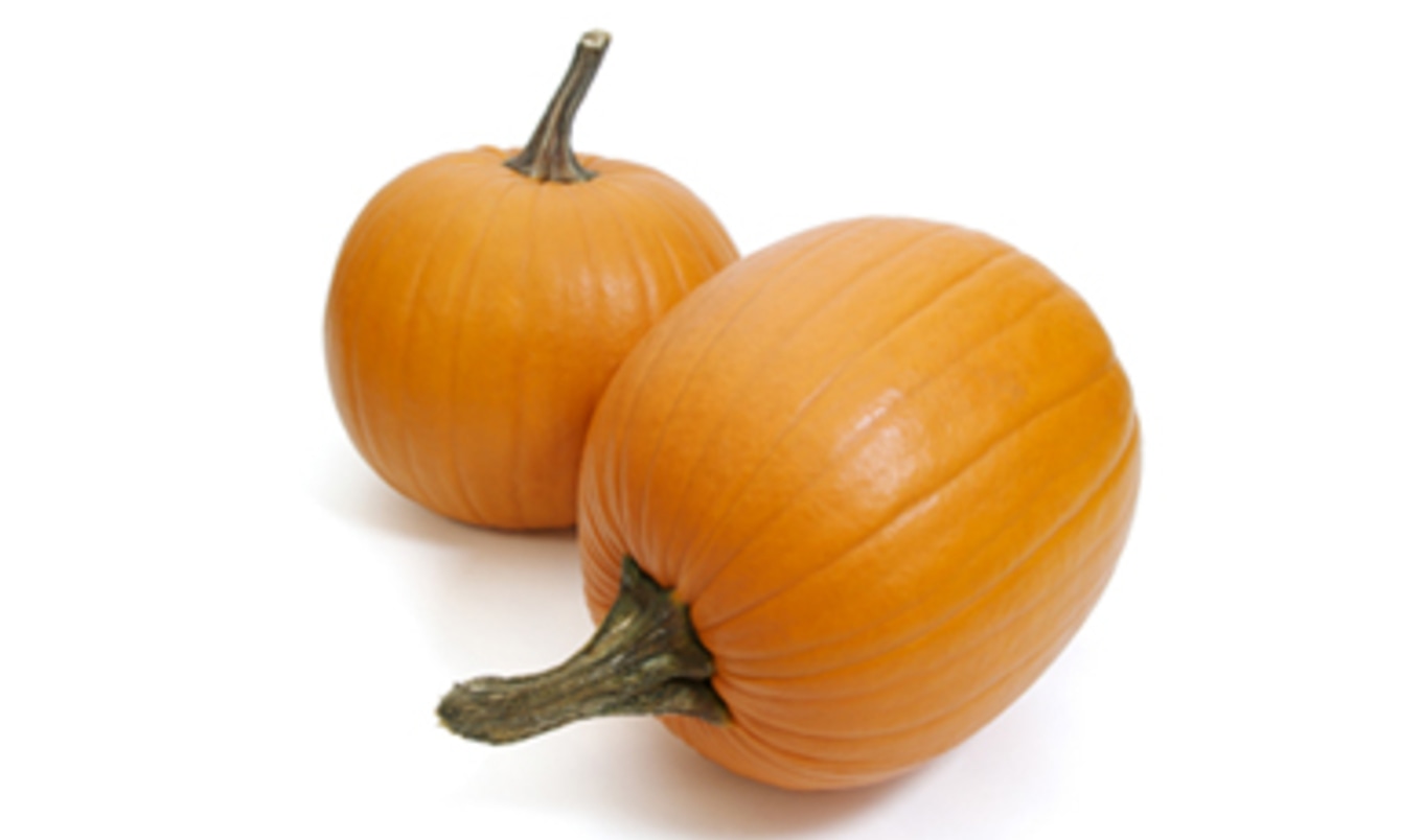 Gluten-free Pumpkin Chocolate Chunk Bars