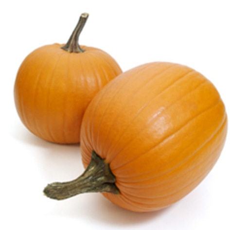 Gluten-free Pumpkin Chocolate Chunk Bars