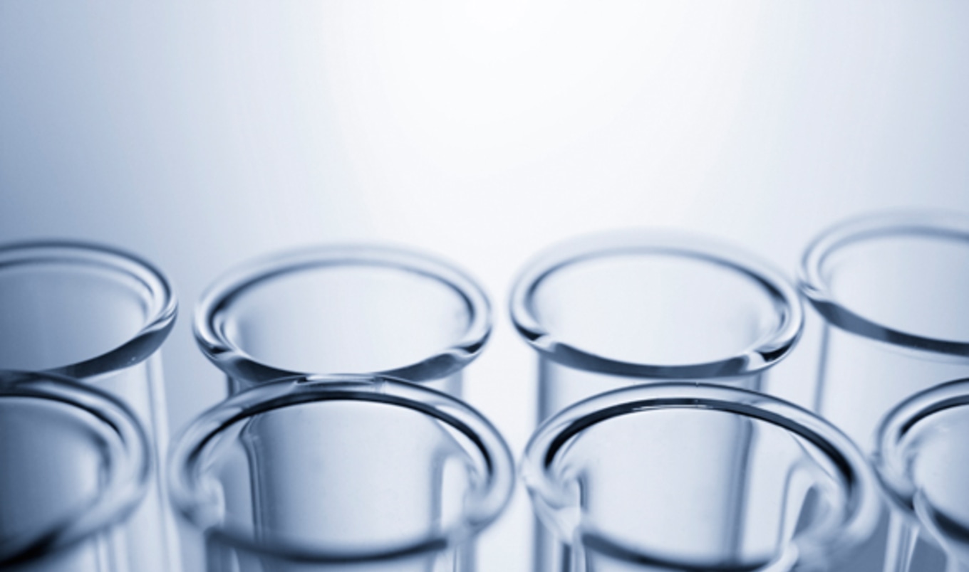 The Rise of Genetically Modified Animals