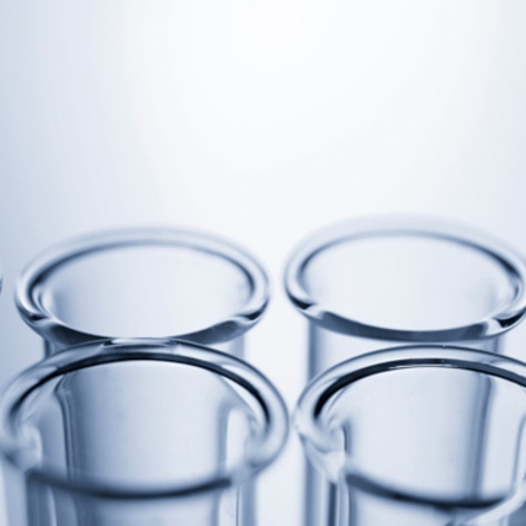 The Rise of Genetically Modified Animals