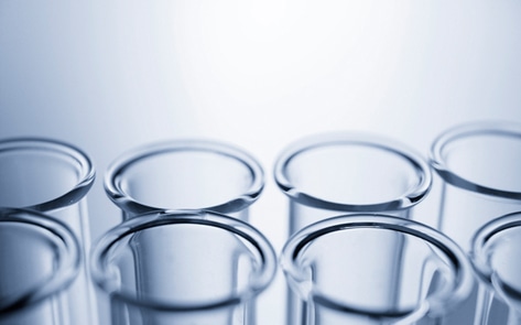 The Rise of Genetically Modified Animals