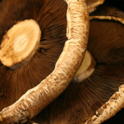 Gluten-Free Portobello Sliders