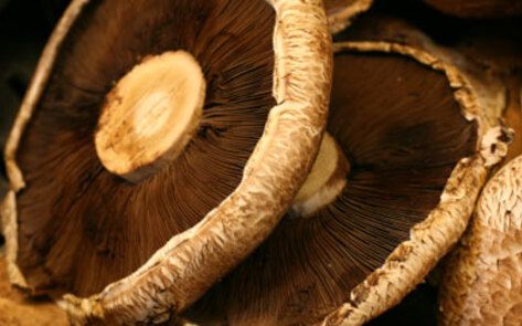 Gluten-Free Portobello Sliders