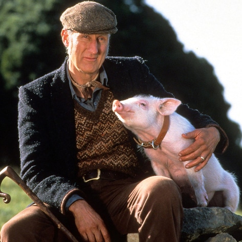 83-Year-Old 'Babe' Actor James Cromwell Adopts a Rescued Pig