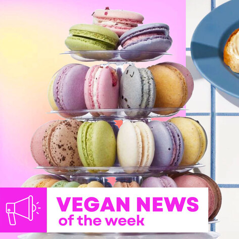 Vegan Food News of the Week: Fluffy Cloud Butter, New Macaron Shop, and More