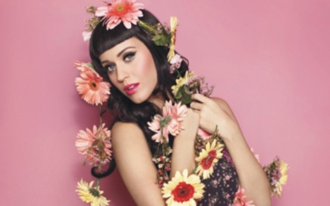 Katy Perry Benefits ASPCA