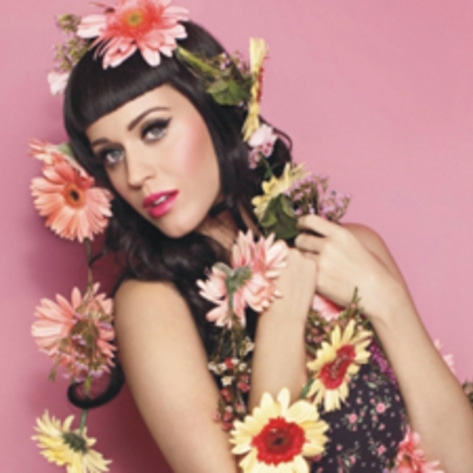 Katy Perry Benefits ASPCA