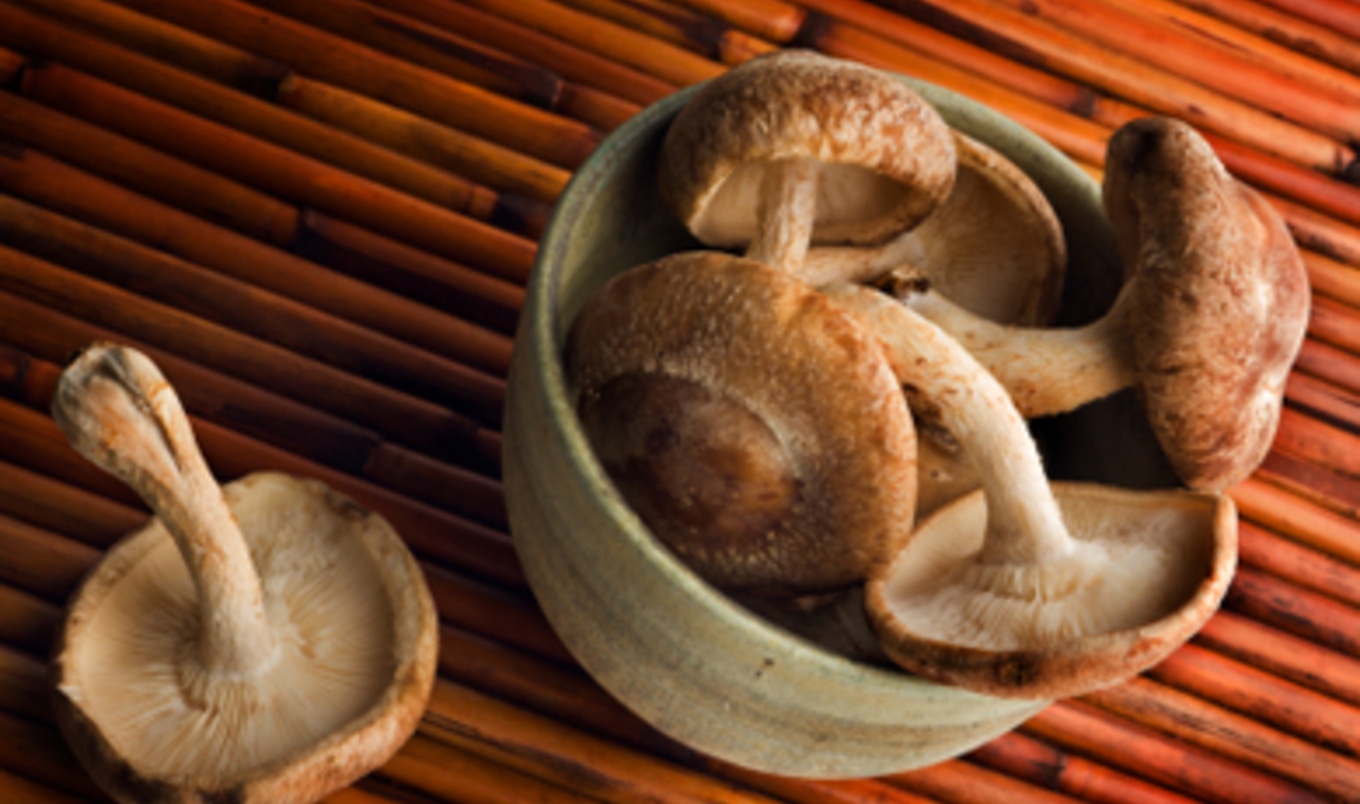 Meatier than Meat? Mushroom Recipes That Can Fool Anyone