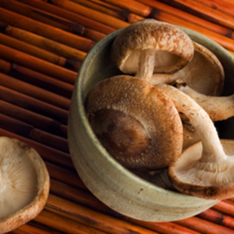 Meatier than Meat? Mushroom Recipes That Can Fool Anyone