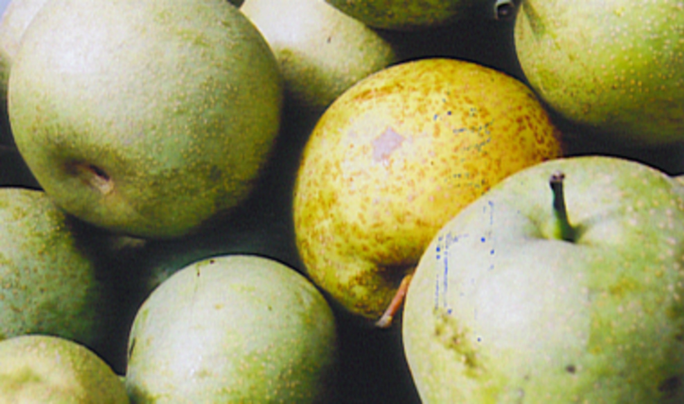 White Produce Reduces Strokes