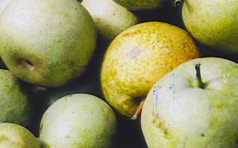 White Produce Reduces Strokes