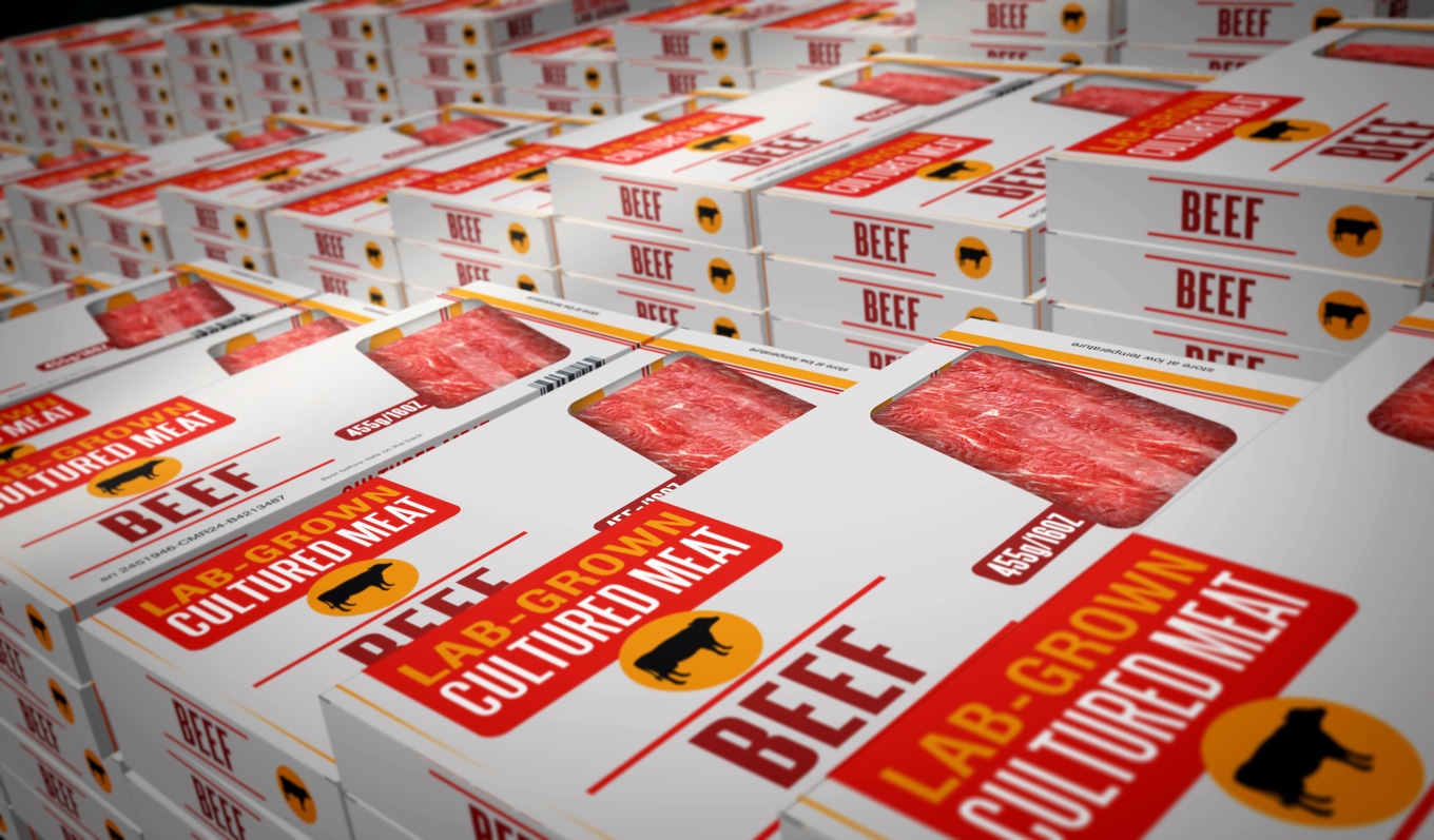 Is It Possible for Female-Led Cultivated Meat Companies to Make It Less Unusual? Cultivated