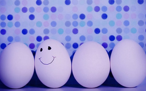 COK Urges Egg-Free Pledge