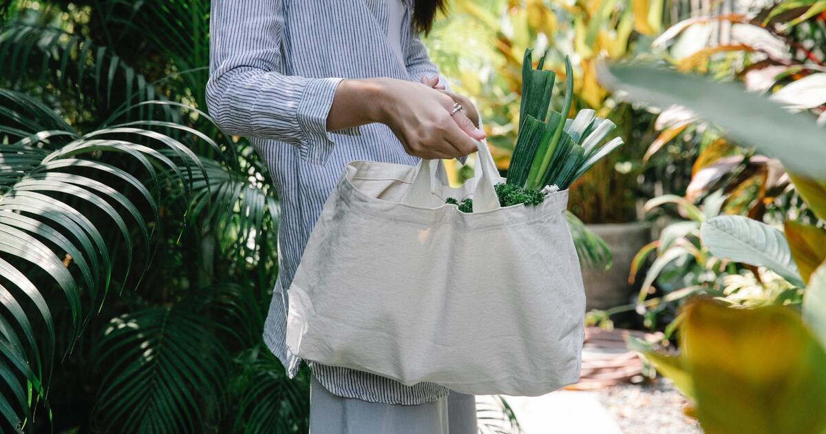 50 Ways to Save the World by Making Better Purchases and Composting Like a Pro - Vimarsana News