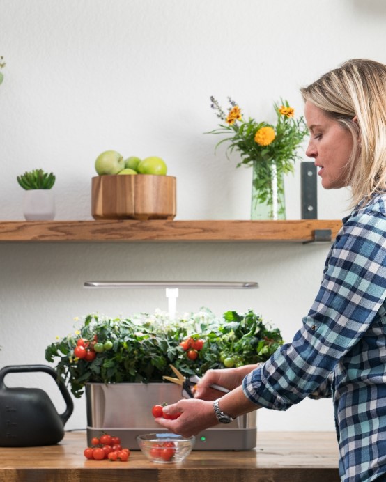 VegNews.AeroGarden