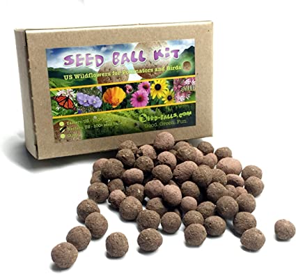 VegNews.SeedballKit.WildSeedballs