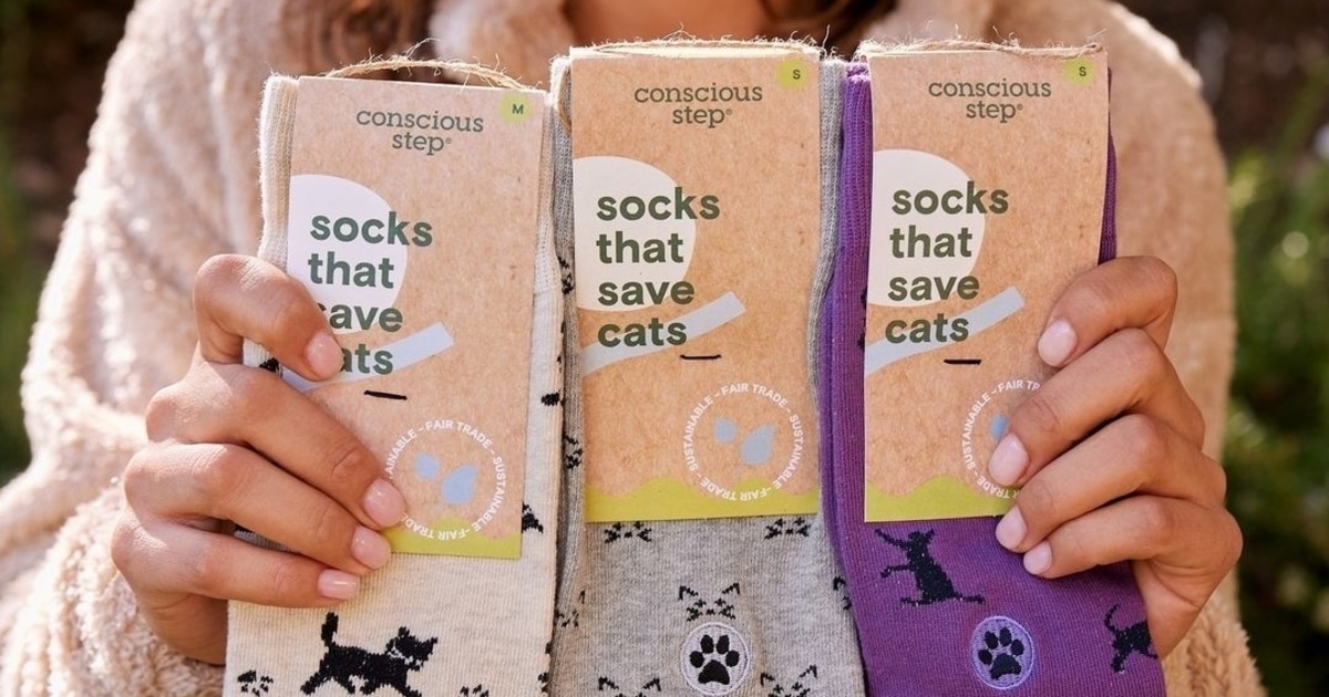 7 Vegan Companies That Give Back to Animals - Vimarsana News