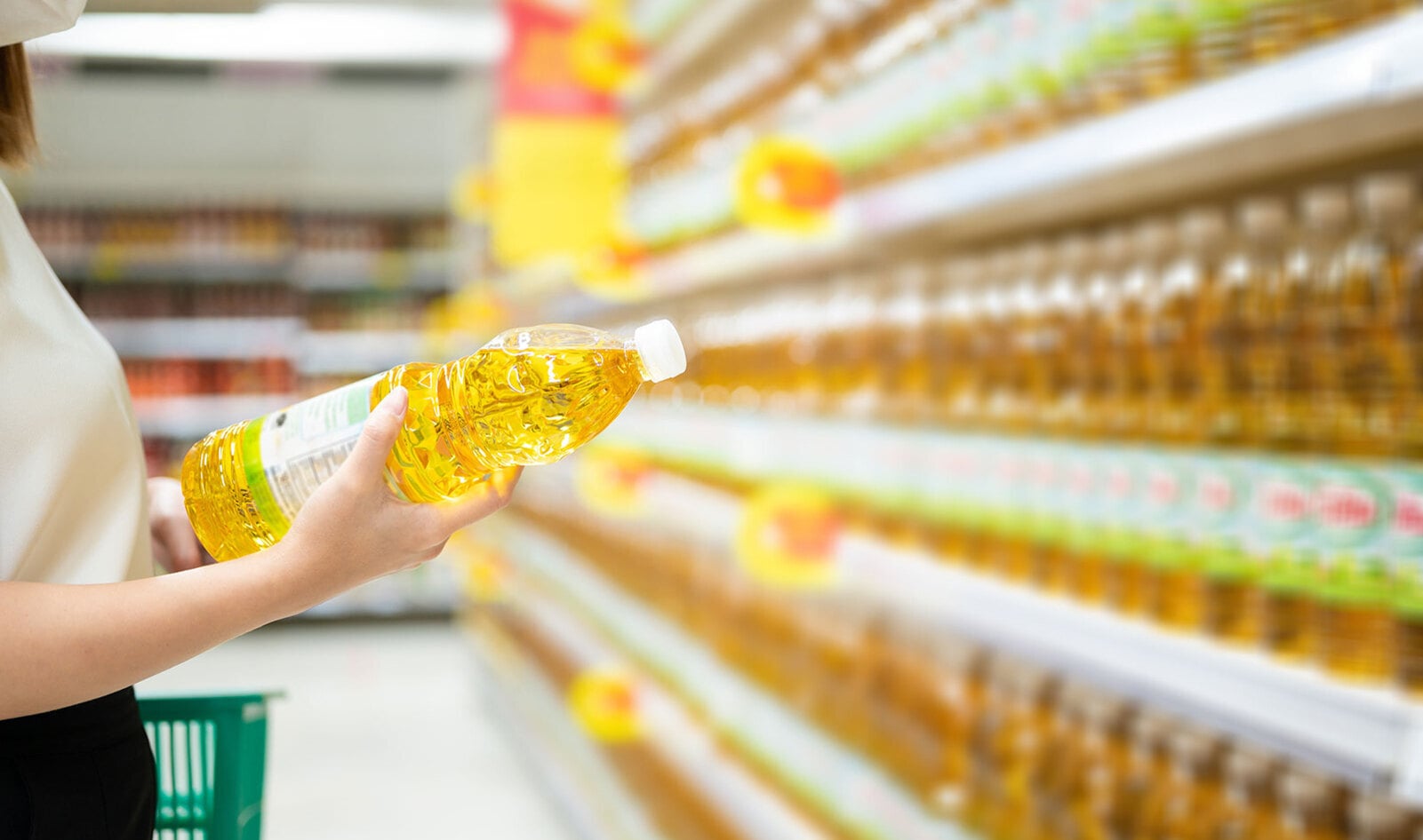 Canola Is More Than Just a Popular Cooking Oil. These Researchers Think It Could Replace Meat, Too. 