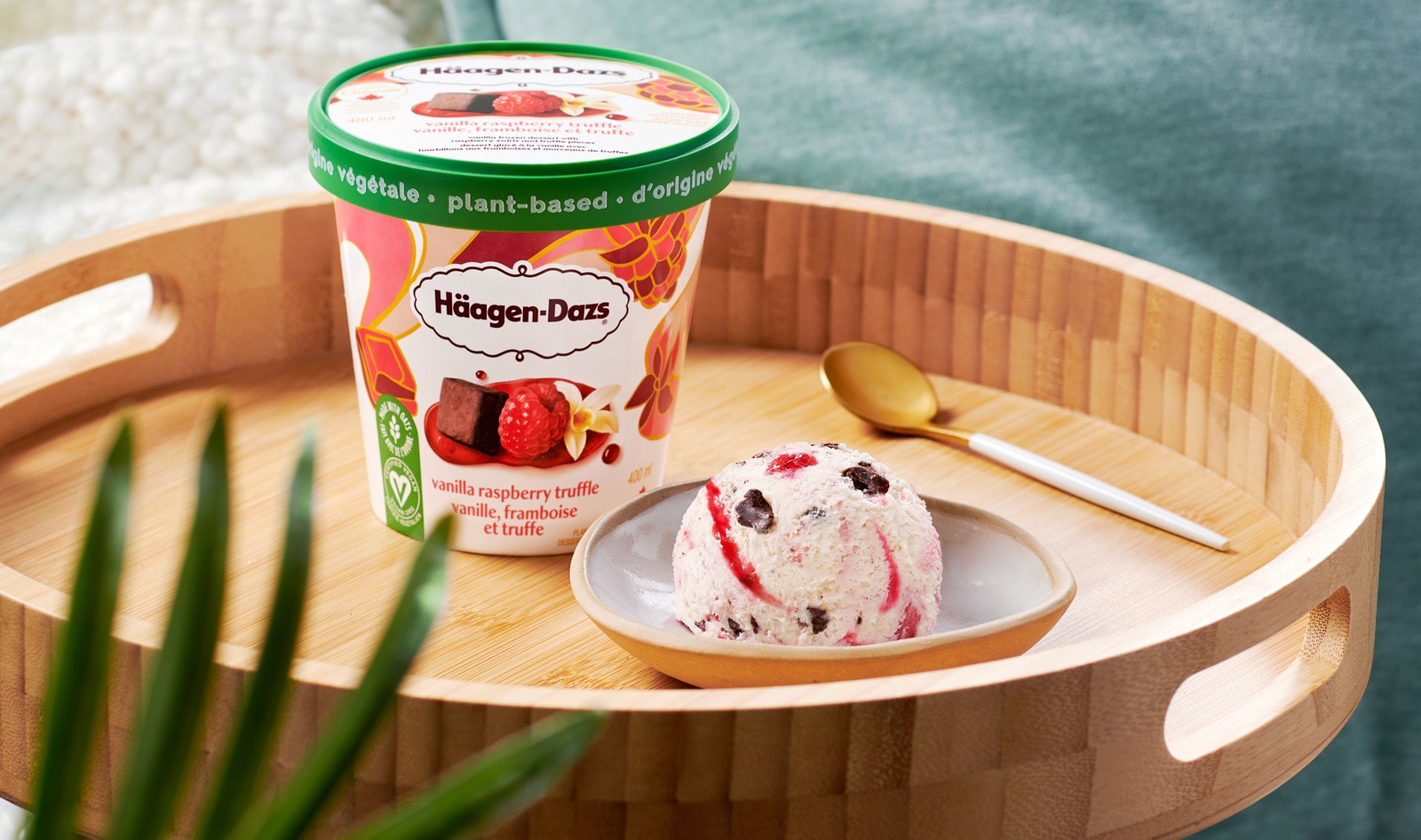 Häagen-Dazs Debuts Its First Dairy-Free Oat Milk Ice Cream in 3 Flavors