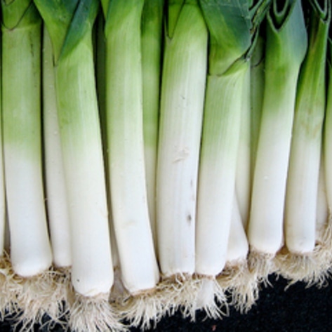 Sweet Leeks with Raisins