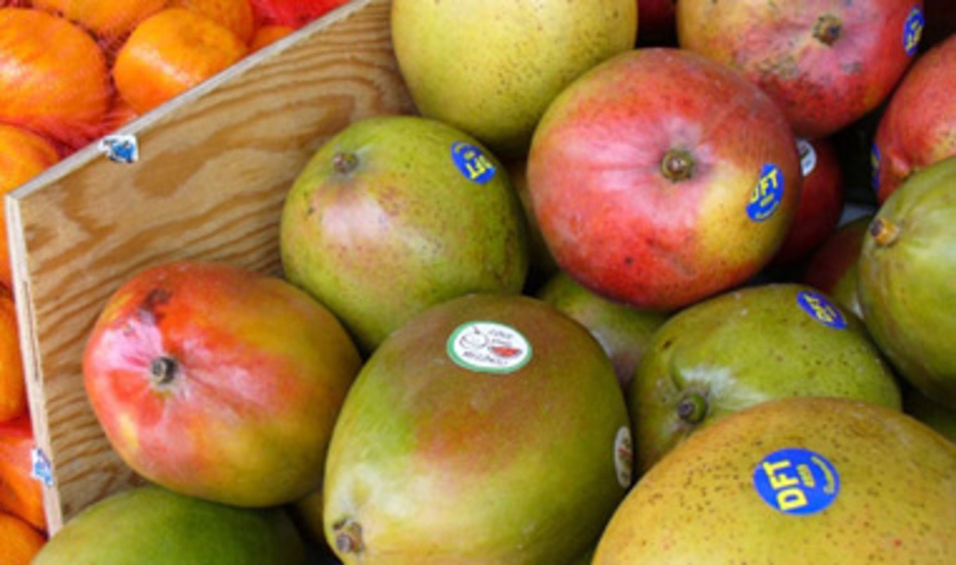 New Food Regulations