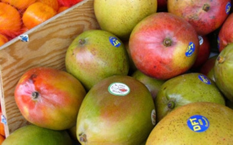 New Food Regulations