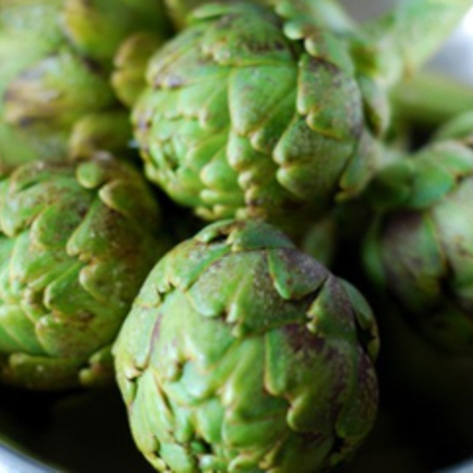 Baby Artichokes Marinara