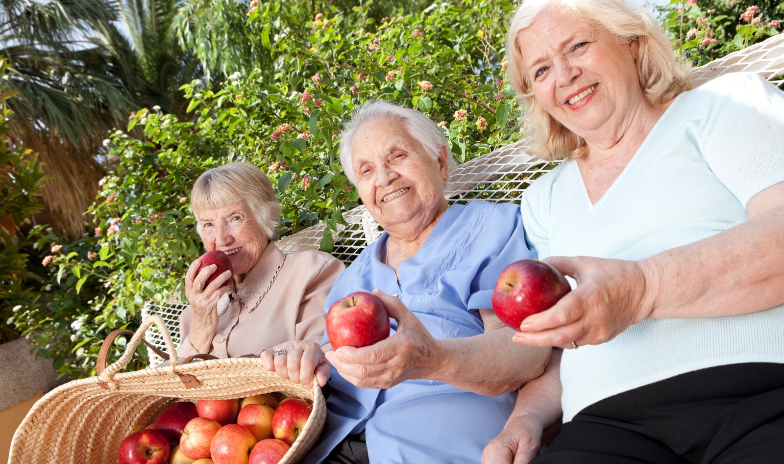 An Apple a Day Slashes Frailty Risk by 20 Percent, Study Finds