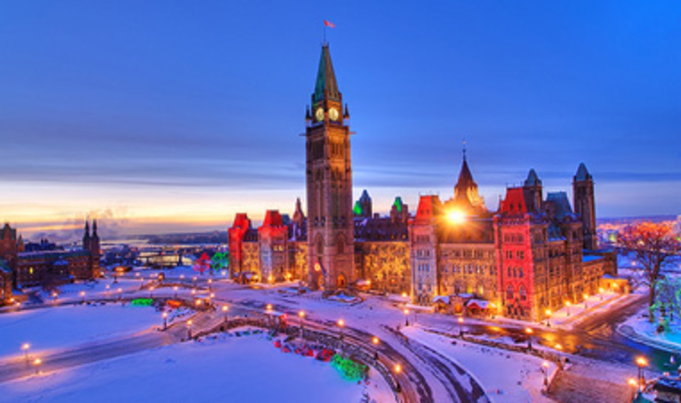Ottawa Veg Ball
