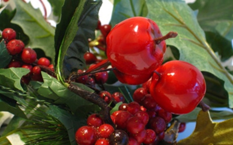 Holiday Classics Veganized