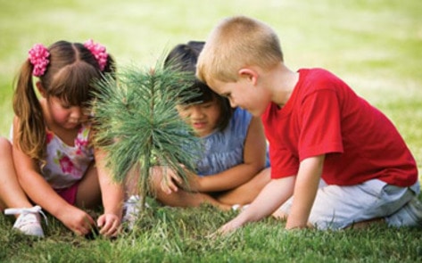 Disney Promotes Tree Planting