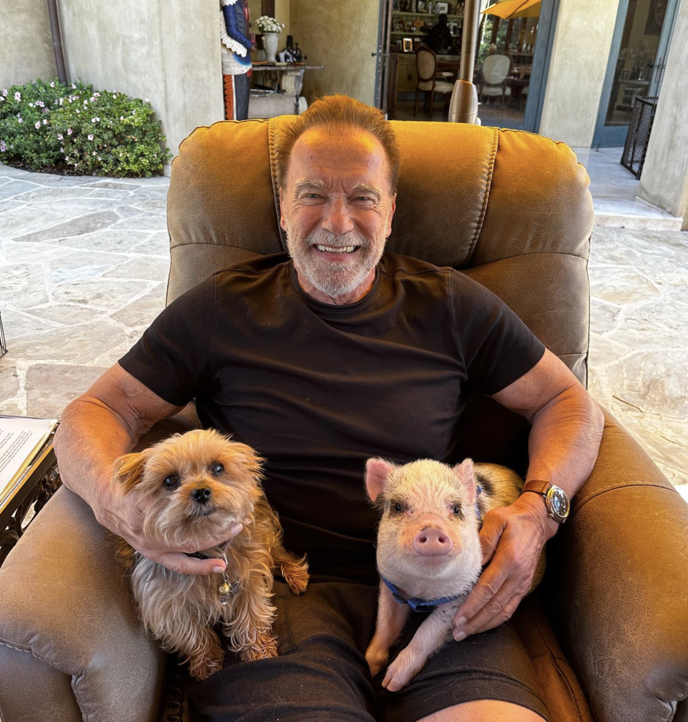 VegNews.ArnoldSchwarzenegger.Instagram