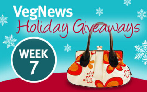 This Week's Giveaway: $250 Shopping Spree to Susan Nichole Handbags