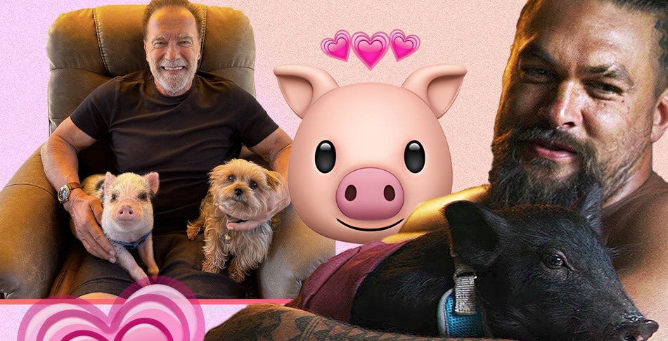 How Jason Momoa, Arnold Schwarzenegger, and Their Pig Friends Redefine Masculinity