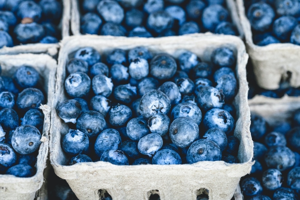 VegNews.blueberries.pexels