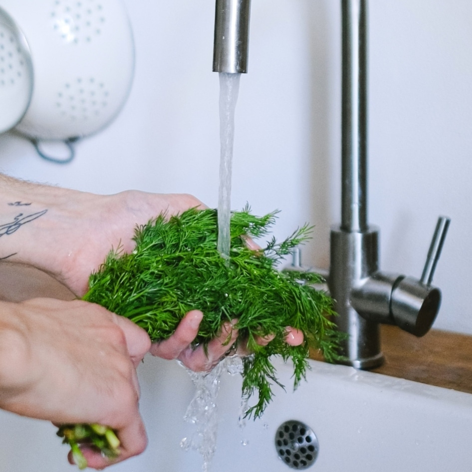 10 Delicious Herbs to Grow In Your Kitchen (Plus, Tasty Vegan Recipe Ideas) 