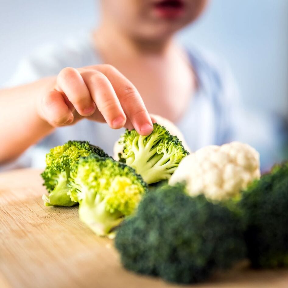 Food Insecurity and Childhood Obesity: Study Supports Plant-Based Food Intervention