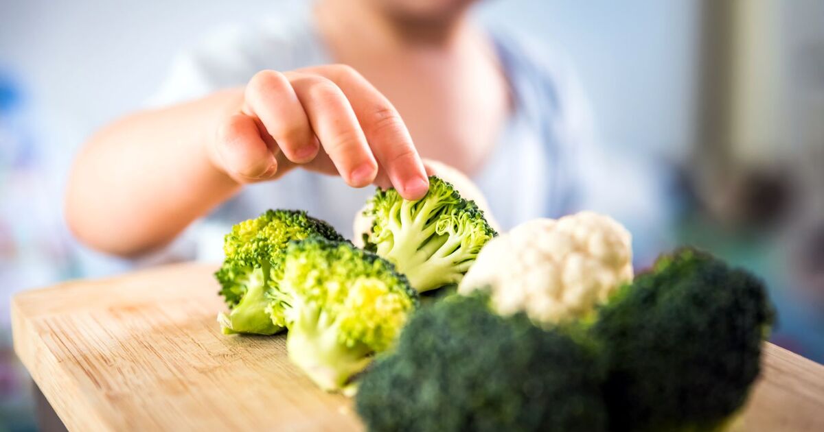 Food Insecurity and Childhood Obesity: Study Supports Plant-Based Food Intervention