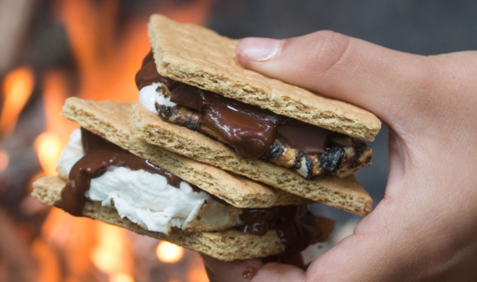 Are Graham Crackers Vegan? Plus, 7 Tasty Dessert Recipes&nbsp;