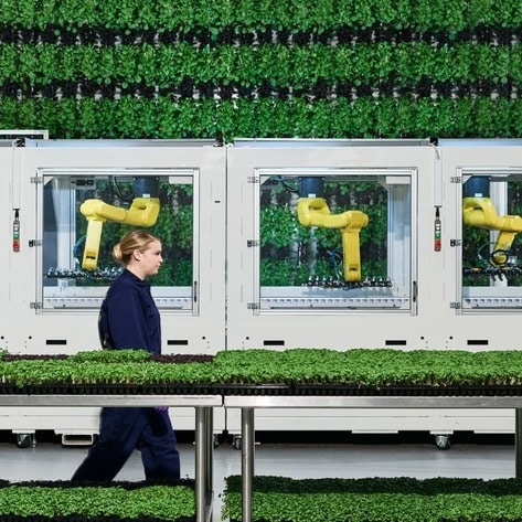 Can Vertical Gardens Feed the World? Probably Not (But It's Ok)