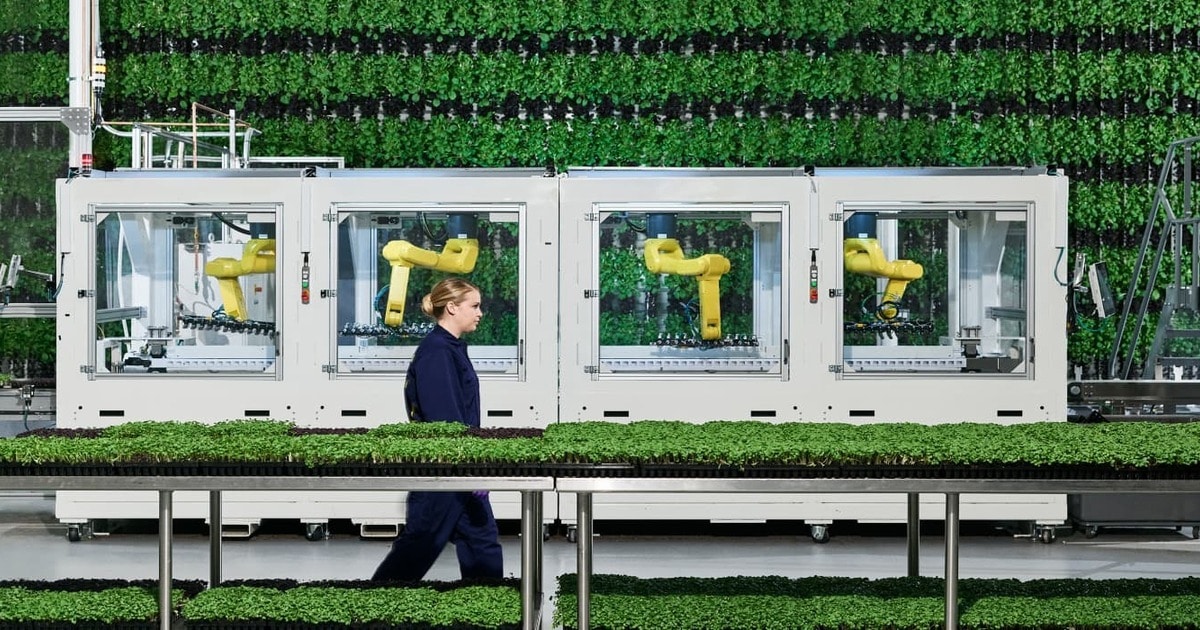 Can Vertical Gardens Feed the World? Probably Not (But It’s Ok)