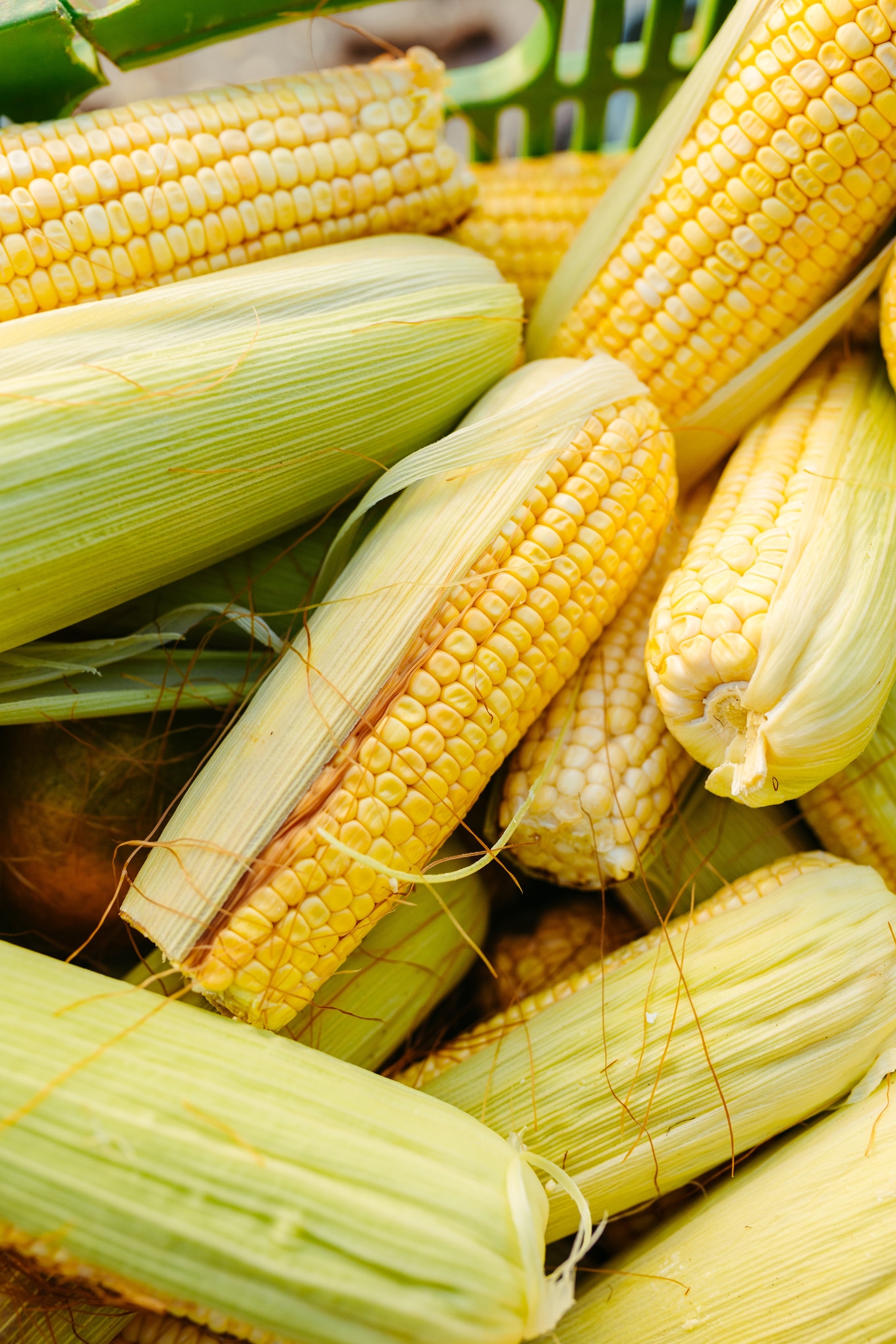 VegNews.Corn.JonathanBorba.Unsplash