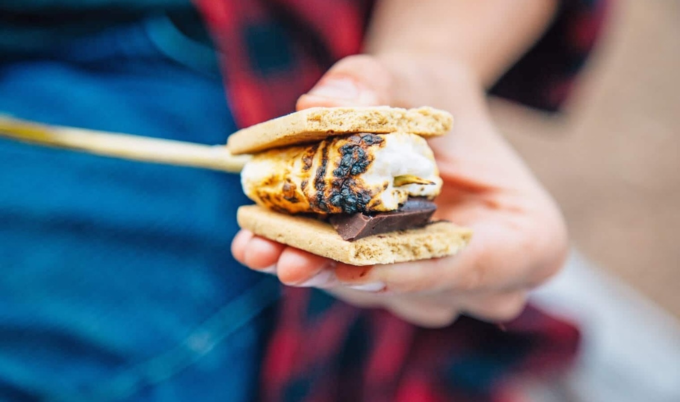 More S'mores: 13 Creative Vegan S'mores Recipes