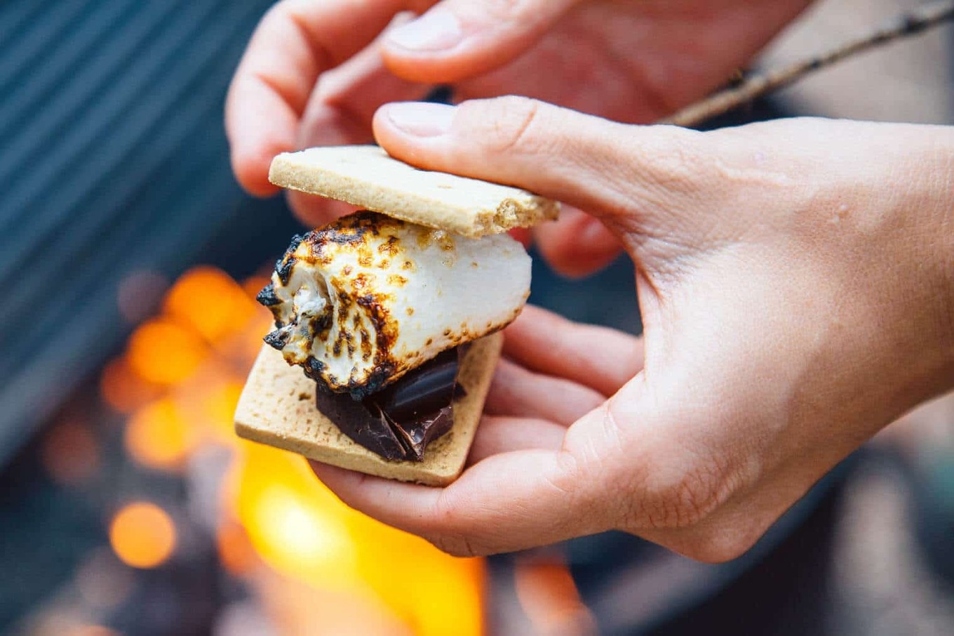 VegNews.Smores.FreshOfftheGrid