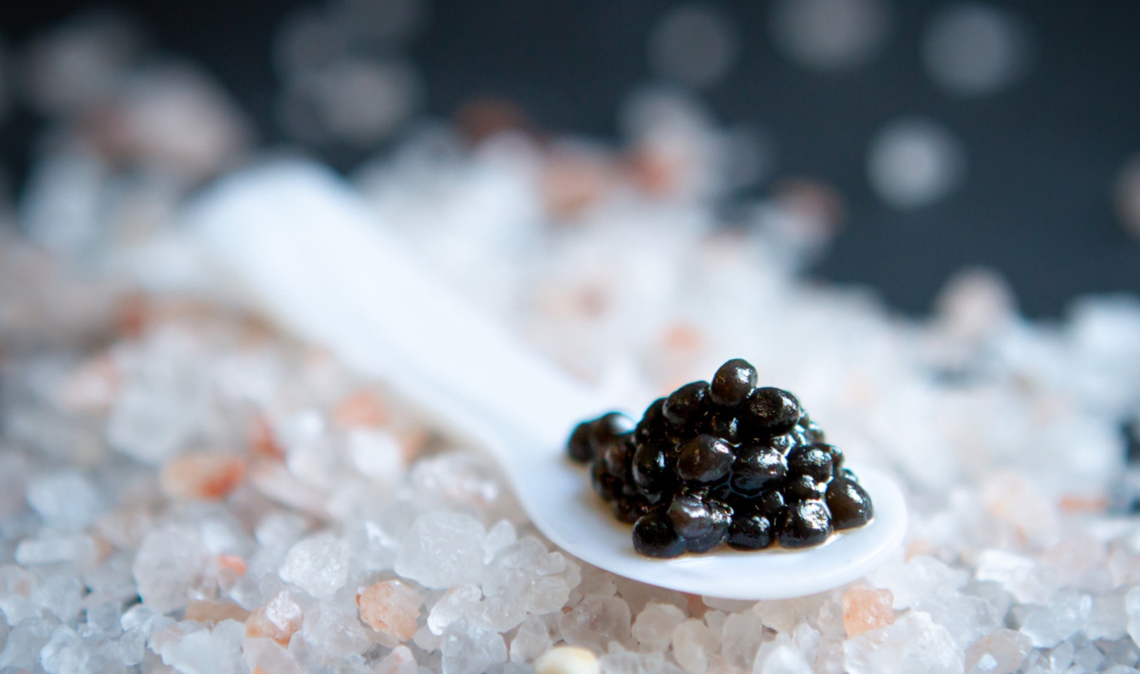 Fish Caviar Is Wildly Unsustainable. How Coffee Grounds Can Help.