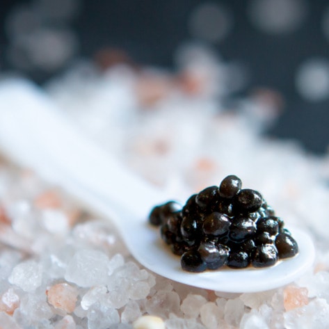 Fish Caviar Is Wildly Unsustainable. How Coffee Grounds Can Help.